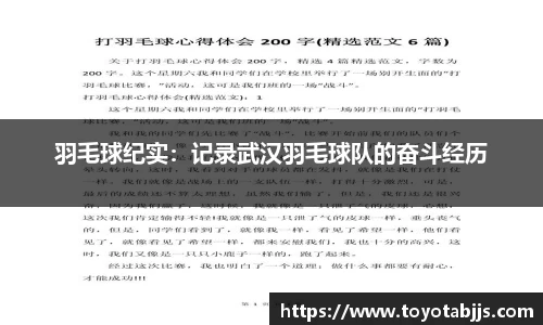 羽毛球纪实：记录武汉羽毛球队的奋斗经历